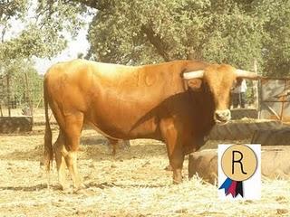 SE INICIA LA CUENTA ATRÁS PARA EL TORO DE CUERDA DE CARCABUEY 2011