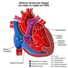 El factor hereditario en las enfermedades cardiovasculares