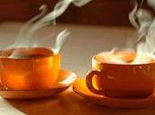 Viii torneo "copa cafe sosiego"