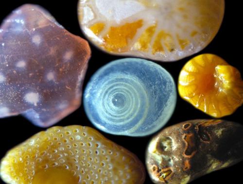 La belleza de lo microscópico