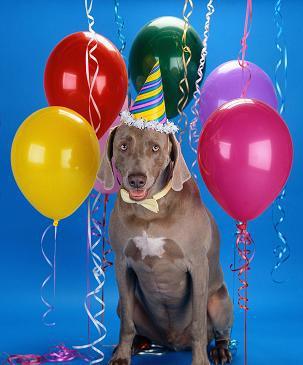 Fiestas de cumpleaños para perros