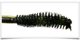 RECOMENDACIÓN DE HOY: MÁSCARA DE PESTAÑAS FATAL BLACKS DE HELENA RUBINSTEIN. RECOMENDACIÓN DE HOY: MÁSCARA DE PESTAÑAS FATAL BLACKS DE HELENA RUBINSTEIN.