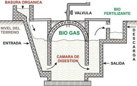 digestor de biogas