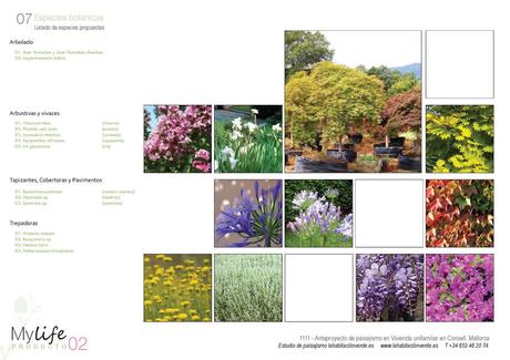 Lhv-diseno-jardin-07-low El jardín de Emma, ganadora!