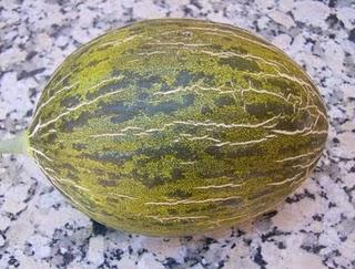 EL MELON, OTRA FRUTA CLASICA DEL VERANO