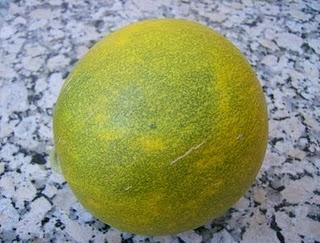 EL MELON, OTRA FRUTA CLASICA DEL VERANO