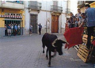 Castalla. Fiestas de San Roque - Fiestas de Vaca 2011