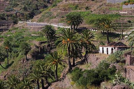 Imágenes del Caserío de Masca Tenerife