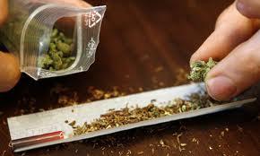 cannabisconsumo Se recomienda descriminalizar el consumo de cannabis