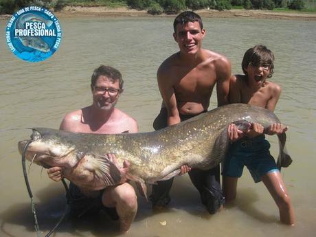 PESCA SILUROS EBRO