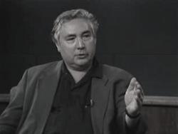 Ebtrevista a Manuel Castells: Análisis sobre la comunicación política en Internet