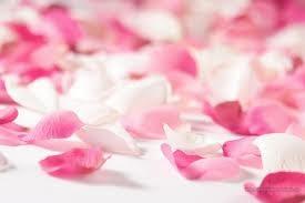 Desmaquillarse con rosas: Un lujo para la piel.