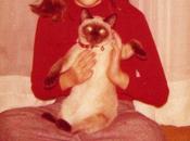 paso tiempo: Carpe diem