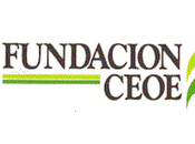 Becas Fulbright Fundación CEOE para periodistas 2011