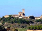 Ariany centro Mallorca