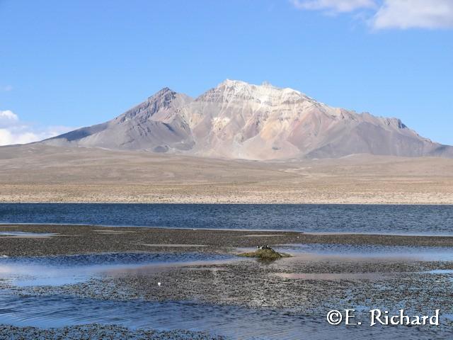 Manejo de residuos sólidos en la nidificación de Fulica gigantea (Aves, Rallidae)… Ajjuya (Bolivia) o Tagua gigante (Chile) en el Parque Nacional Lauca (Chile) Manejo de residuos sólidos en la nidificación de Fulica gigantea (Aves, Rallidae)… Ajjuya (Bolivia) o Tagua gigante (Chile) en el Parque Nacional Lauca (Chile)