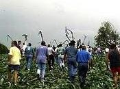 UFIC demanda Congreso Uniòn federal sector agropecuario para 2012