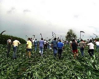 UFIC demanda al Congreso de la Uniòn una ley federal del sector agropecuario para 2012
