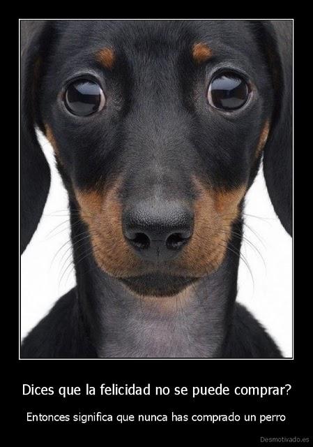 Alejandro Magno y Diógenes