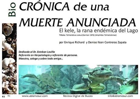 Trabajo de investigación publicado en la Revista de Divulgación de Biología Acuática y Buceo AbismoSur (Argentina): El Kele (Telmatobius culeus), la rana endémica del Lago Titikaka…