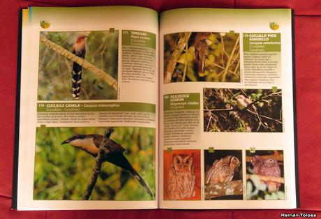 Aves de Berisso y costa bonaerense norte