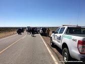 Operativo en Ruta 17 por parte de Guardafauna y Policía de Cutral Có