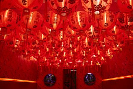 nino-gordo0007-1400x-q90.jpg 13