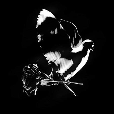 Shoot For The Stars Aim For The Moon