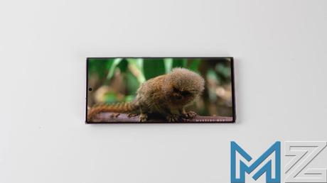 Prueba de la pantalla del Galaxy Note 20 Ultra, ¿la mejor del mercado? Prueba de la pantalla del Galaxy Note 20 Ultra, ¿la mejor del mercado?