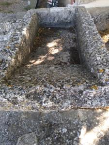 La fuente de Tamajón