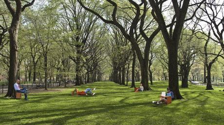 Fold and Go / Dovat Arquitectos Fold and Go / Dovat Arquitectos