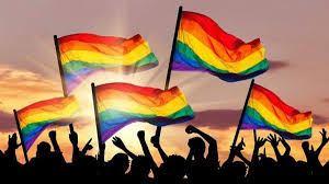 Una Constitución con Diversidad. Leyes con aroma gay