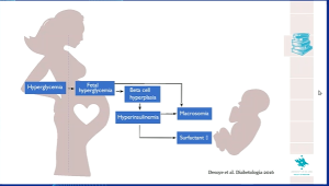 EASD 2020 La importancia del control del embarazo en la diabetes