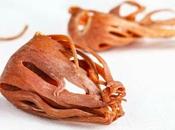 Macis. propiedades beneficios esta especia