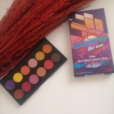 paleta chasing the sun