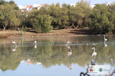 LA LAGUNA DE FUENTE DEL REY REABRIRÁ SUS PUERTAS A PARTIR DEL LUNES