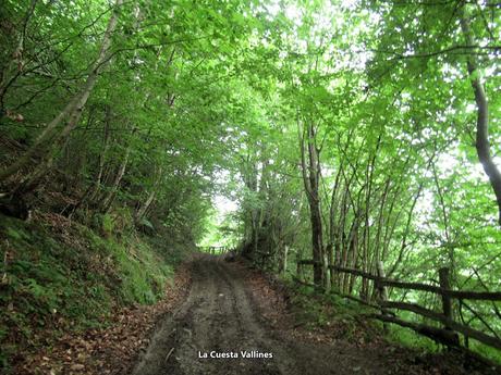 Soto de Caso-La Cabritera-Atambos-El Visu la Grande-Belerda