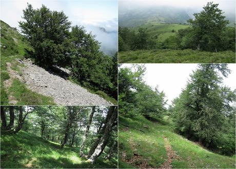 Soto de Caso-La Cabritera-Atambos-El Visu la Grande-Belerda