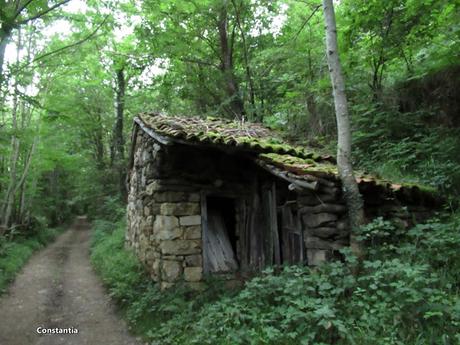 Soto de Caso-La Cabritera-Atambos-El Visu la Grande-Belerda