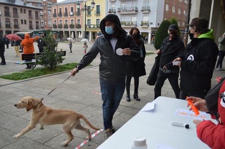 El sector de la cultura berciana activa la #alertaroja movilizándose en la plaza del Ayuntamiento de Ponferrada