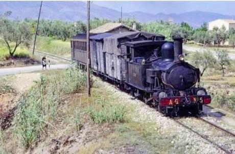 Crónicas del Campo Santo, Nº 12. En la jaula.