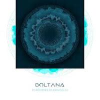 Boltana estrena Parecidos Razonables