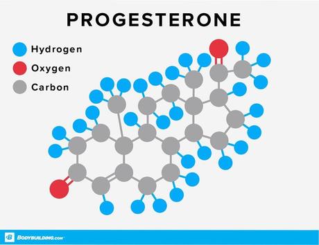 Progesterona
