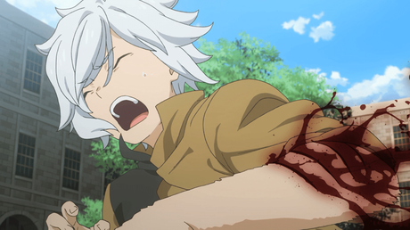 De regreso con las fantásticas aventuras de Bell Cranel y su equipo por la mazmorra de Orario. Entre uno de los pisos medios, Bell rescata a una chica monstruo de un grupo de aventureros al ver que esta es especial, dado a que ella teme y habla como los humanos.