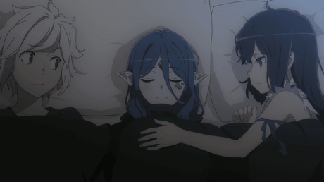 De regreso con las fantásticas aventuras de Bell Cranel y su equipo por la mazmorra de Orario. Entre uno de los pisos medios, Bell rescata a una chica monstruo de un grupo de aventureros al ver que esta es especial, dado a que ella teme y habla como los humanos.