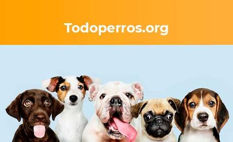 Beneficios de los juguetes para perros según Todoperros.org
