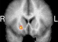 Porque los individuos perciben el paso del tiempo de manera diferente
