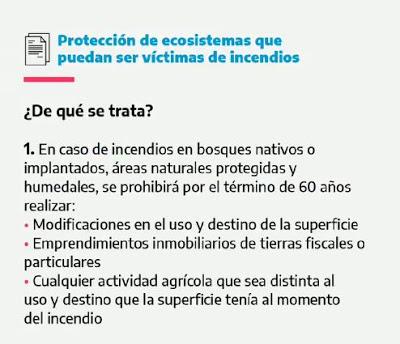 Contra los Incendios de la Oligarquía Sojera y la Especulación Inmobiliaria