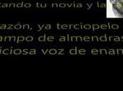 Perdonen calle