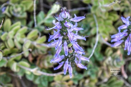 A veces todo A veces todo